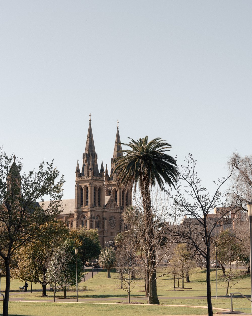 Cathedral framed by trees and parkland in North Adelaide